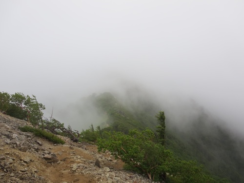 f0149422_1435351.jpg