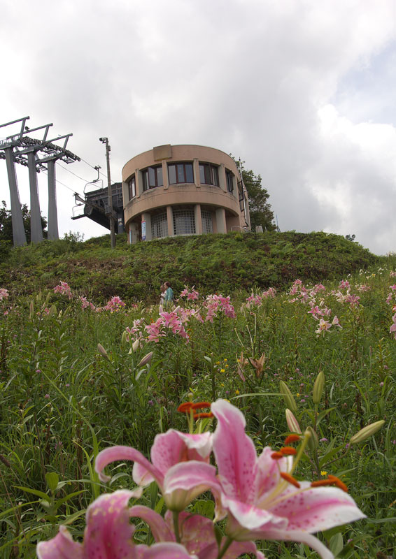e0001123_2248830.jpg