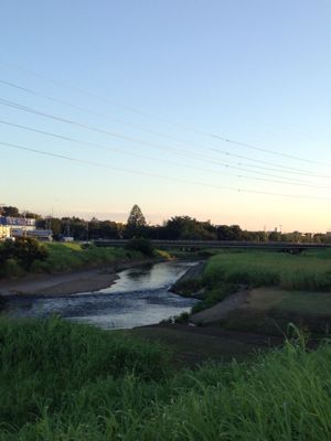 b0203925_843011.jpg