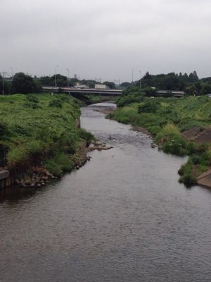 b0203925_8464485.jpg