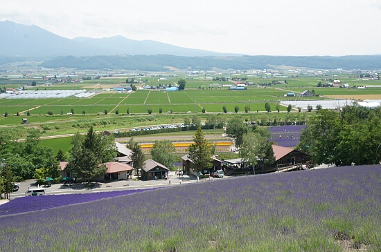 f0037227_23141737.jpg
