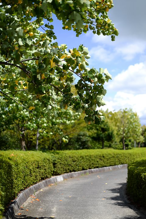 b0134829_2329346.jpg