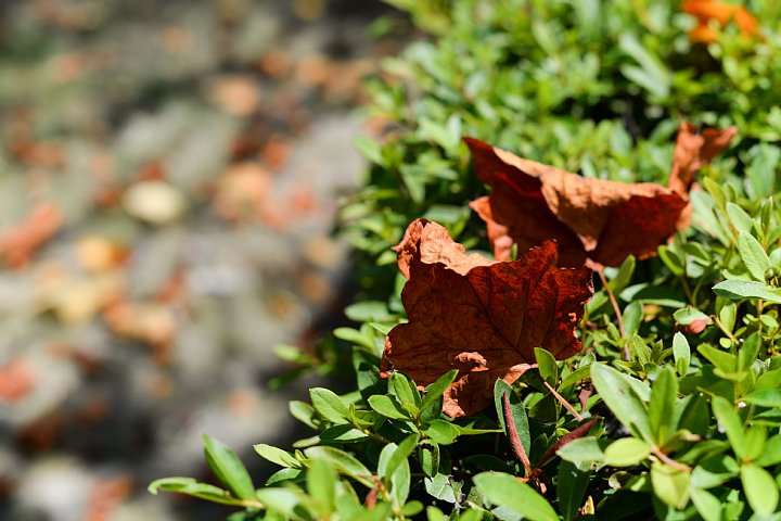 b0134829_23461318.jpg
