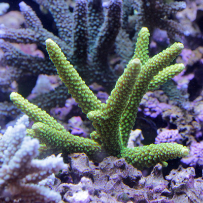 d0221436_2238491.jpg