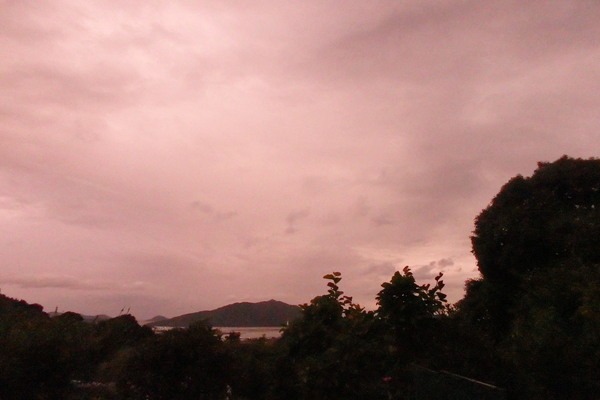 a0054240_20334273.jpg