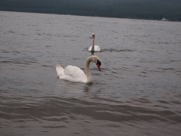 c0310543_02002347.jpg