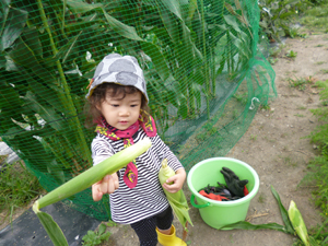 d0070047_23153929.jpg
