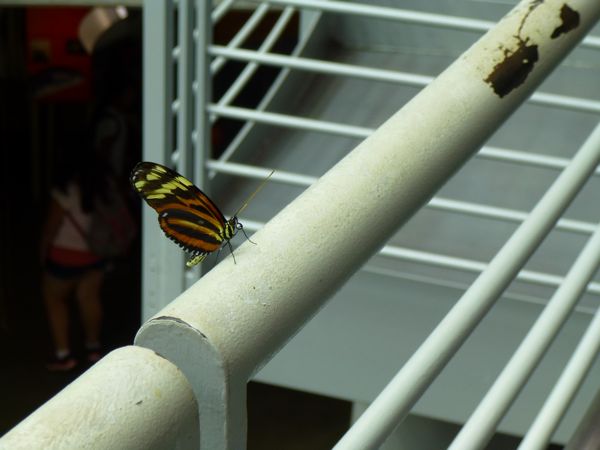 c0245349_7151020.jpg