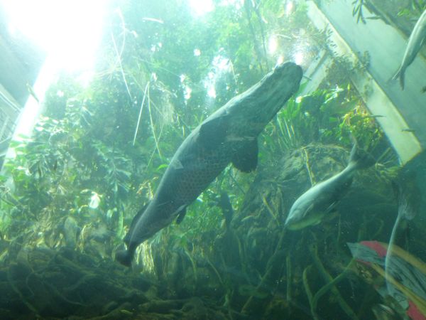 c0245349_716053.jpg
