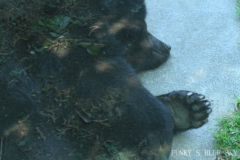 c0145250_15264064.jpg