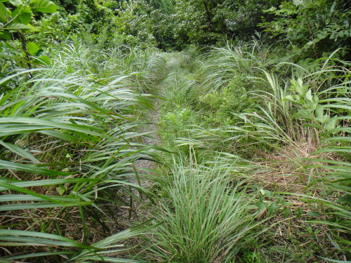 c0256558_1550312.jpg