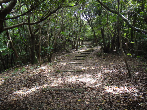 c0256558_155775.jpg
