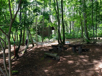 e0001860_1358542.jpg