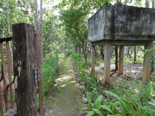 e0155370_1844421.jpg