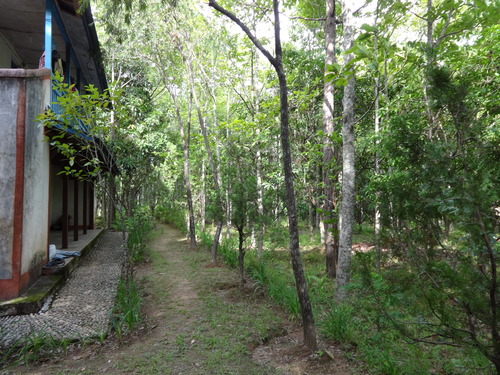 e0155370_1853116.jpg