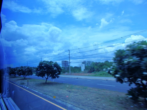 a0002177_10405260.jpg