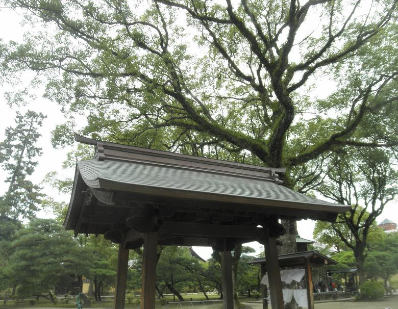 f0101679_175555100.jpg
