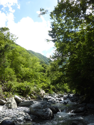 a0257385_2134155.jpg