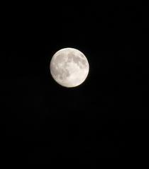 e0130185_2143169.jpg