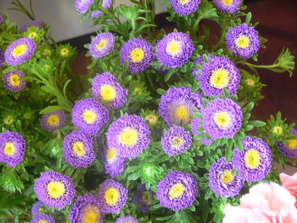 e0140986_16191230.jpg