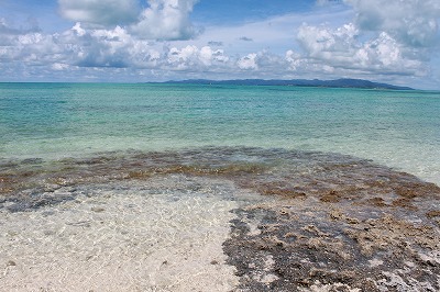 e0144986_230290.jpg