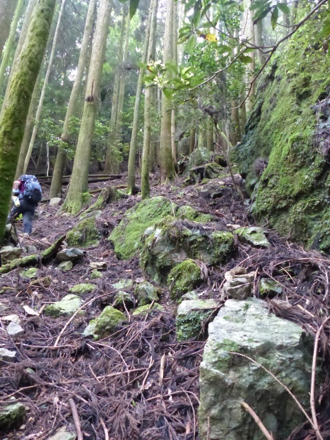 f0357487_0113153.jpg