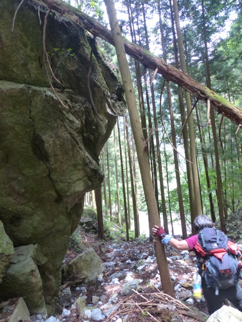 f0357487_0305627.jpg