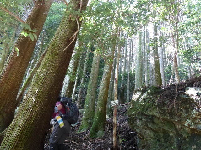 f0357487_043064.jpg