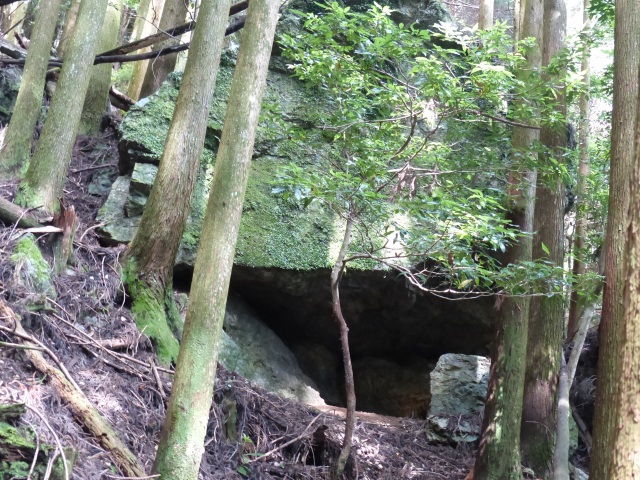 f0357487_052271.jpg
