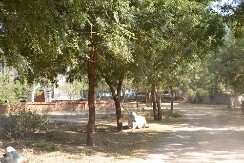 f0268294_00392303.jpg