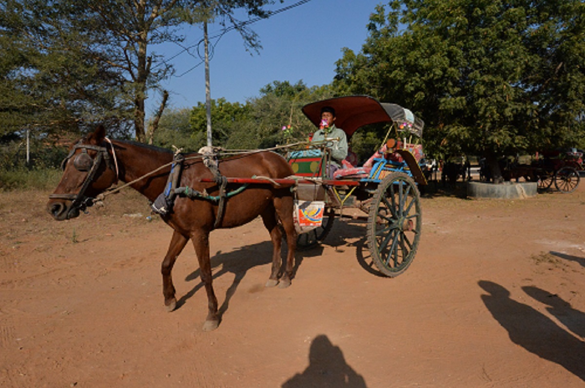 f0268294_00504182.jpg
