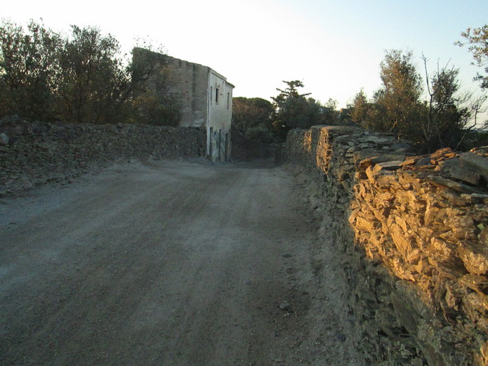 c0100195_9154958.jpg