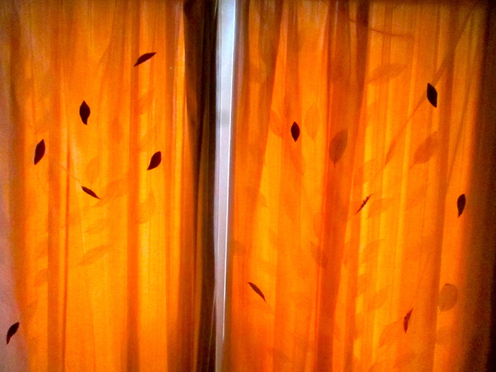 c0100195_933483.jpg