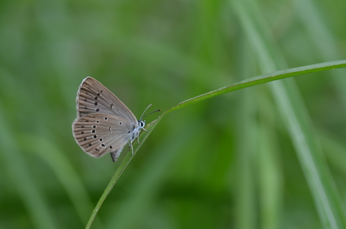 a0277496_713266.jpg