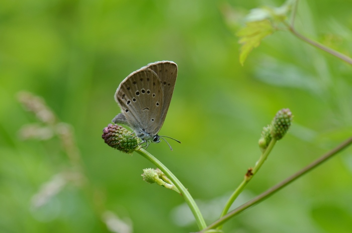 a0277496_7143227.jpg