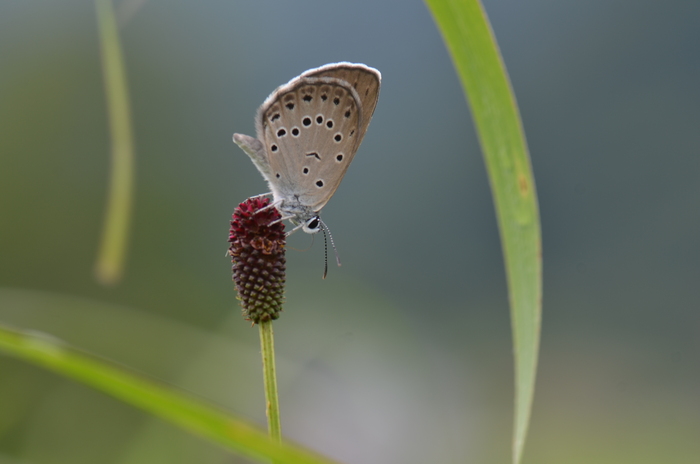a0277496_78178.jpg