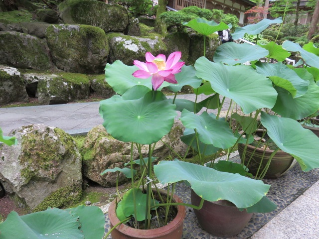 f0346196_07531388.jpg