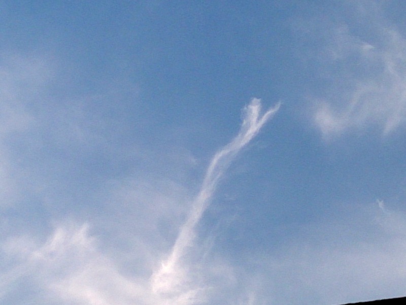 d0240600_15075.jpg