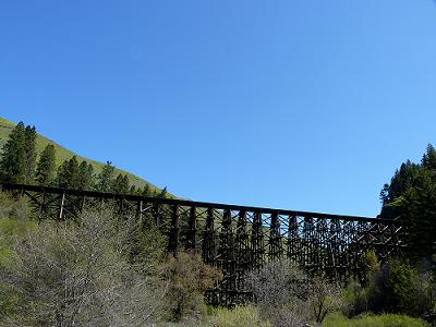 a0310405_05492600.jpg