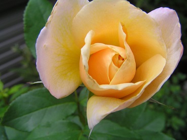f0325309_16553938.jpg