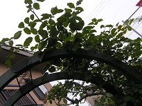 f0325309_16572594.jpg