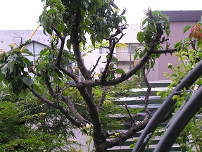 f0325309_16582548.jpg