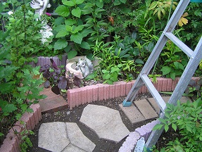 f0325309_16591234.jpg