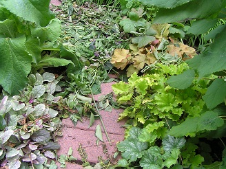 f0325309_17004655.jpg
