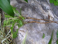 f0325309_17014294.jpg