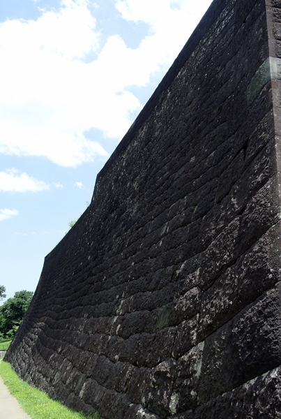 d0179113_10454781.jpg
