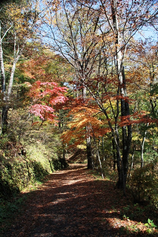 b0207615_15435131.jpg