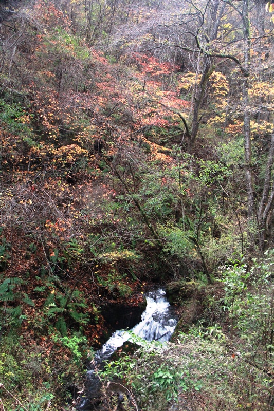 b0207615_15444825.jpg