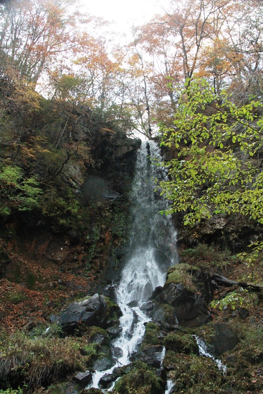 b0207615_15450216.jpg