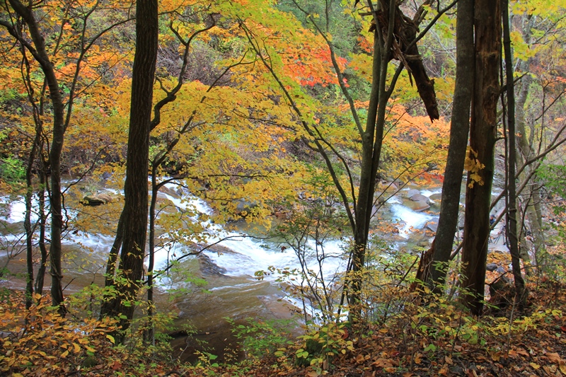 b0207615_16411401.jpg